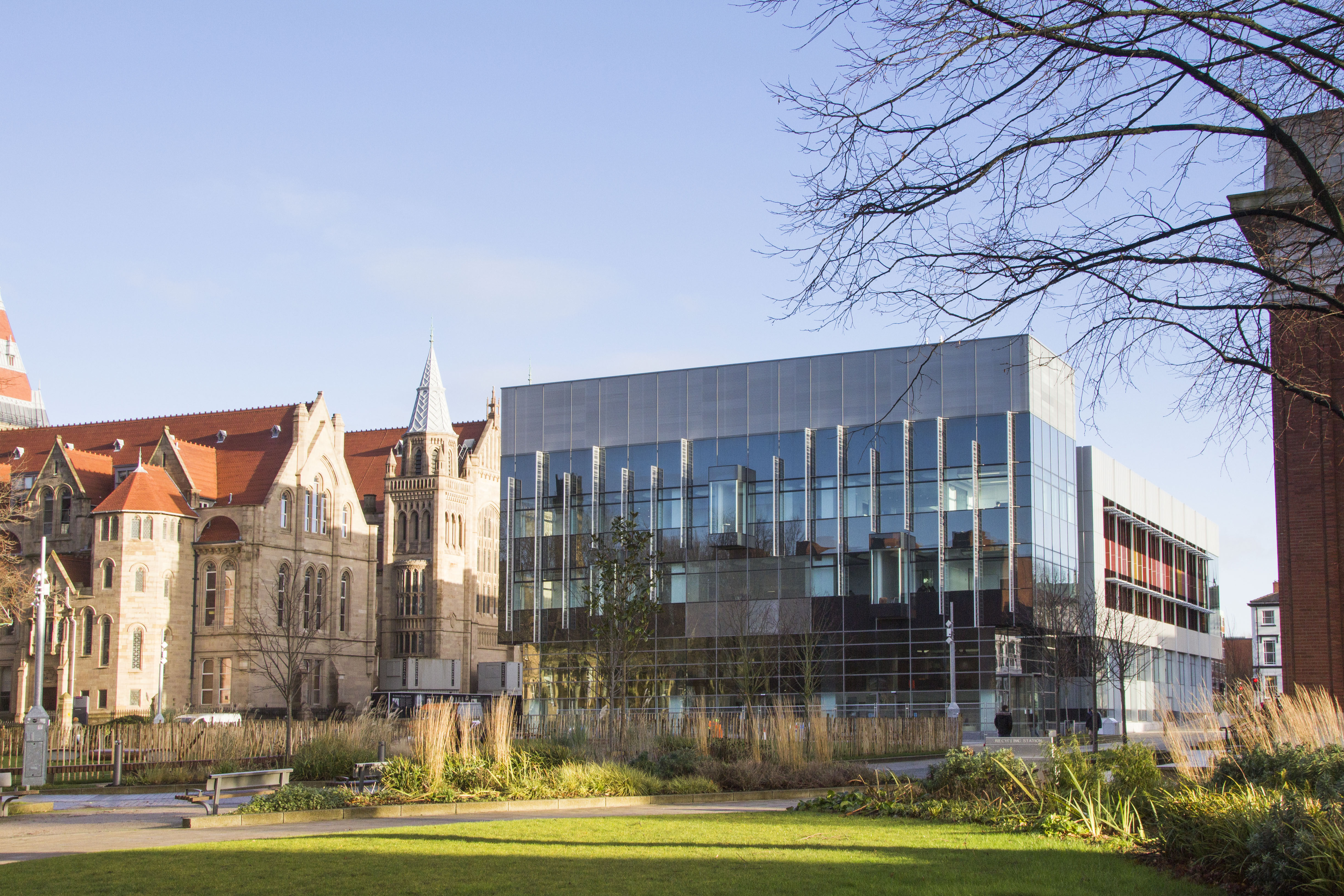 Welcome to AIIA Insights