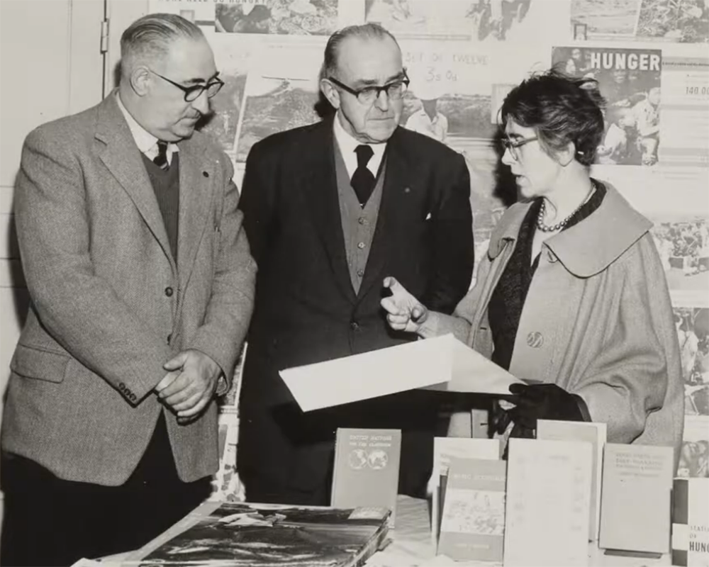 XML Coding with AI, Episode 2: The Hallucinations Strike Back